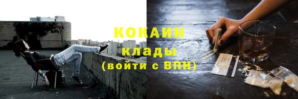 ГАЛЛЮЦИНОГЕННЫЕ ГРИБЫ Медвежьегорск