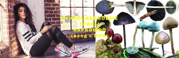 мдпв Медногорск